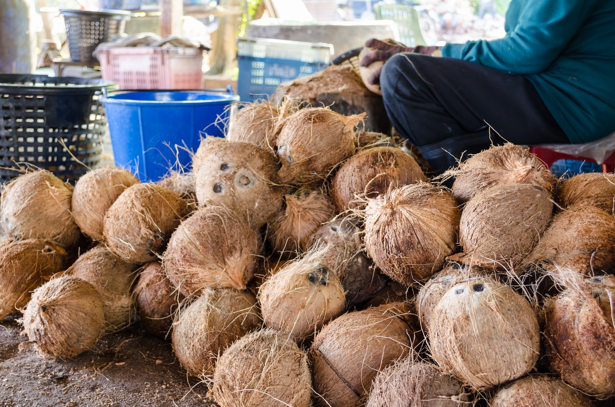 The Environmental Impact of Coconut Oil Production A Sustainability